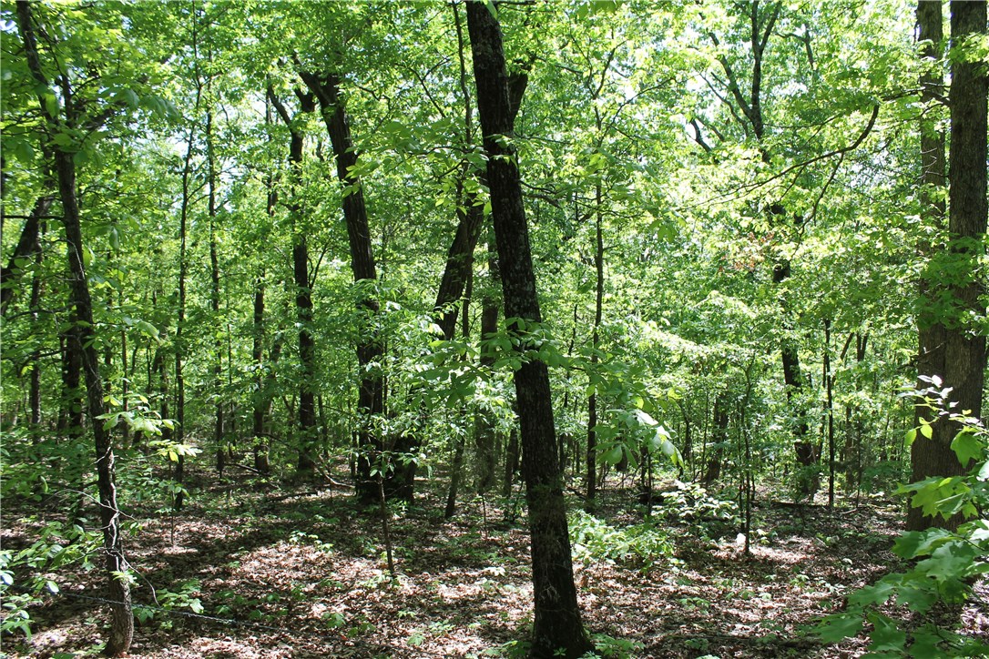Property only 30 minutes from the fayetteville  square. Wooded land has a series of benches providing many beautiful building sites. Utilities, including madison co rural water are located along the road.