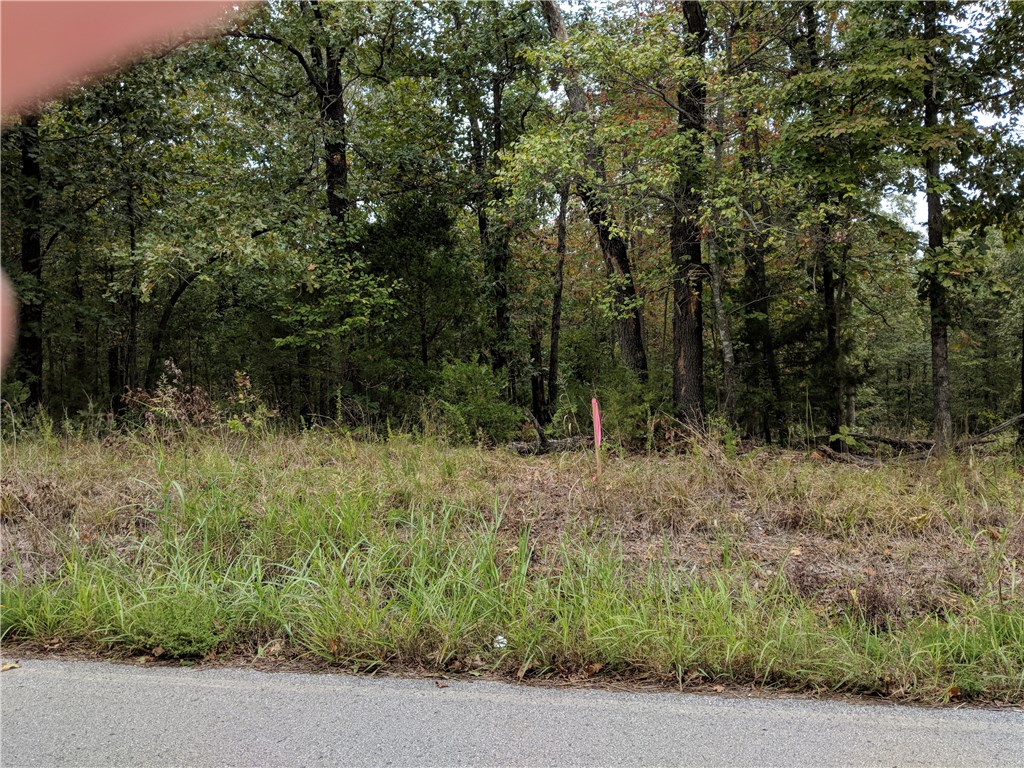 great lot close by lowell  town and beaver lake