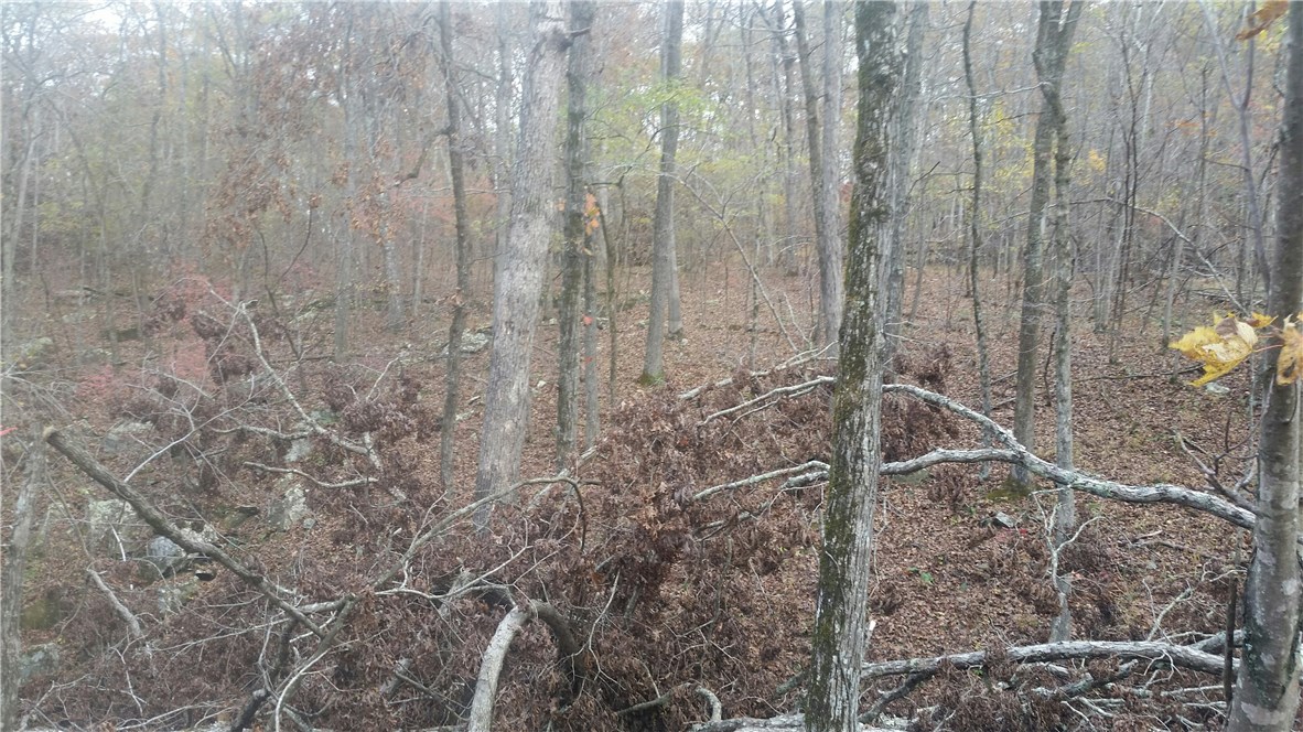 Wooded 45 acres more or less, remote access small portion of property adjoins Hwy 71, excellent for hunting or recreational use.