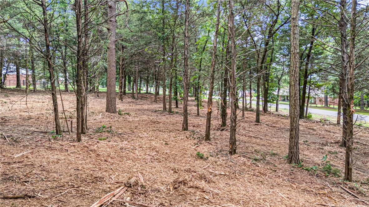 Ridgeview Estates - Land