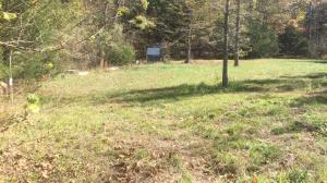 Good property with privacy and good views. Surveyed 20+ mostly wooded acres. Easy access off of a County Road. Rural water and Electricity available. Lots of wild life on this property. Good spring on property with a water system already in place off of the spring with water holding tanks. Roads built into the property. Bluff line on property. Property is on a dead-end road for privacy. Several good building sites on property on different benches. No restrictions. Links to Youtube videos from sellers below:https://www.youtube.com/watch?v=Ttp5RjXJ0sMhttps://www.youtube.com/watch?v=t2AdHLOCvIM