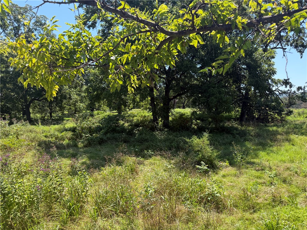 Rural - Land
