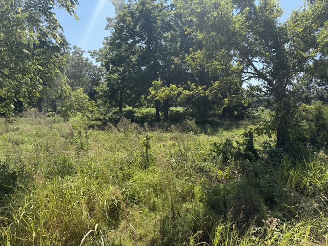 Rural - Land