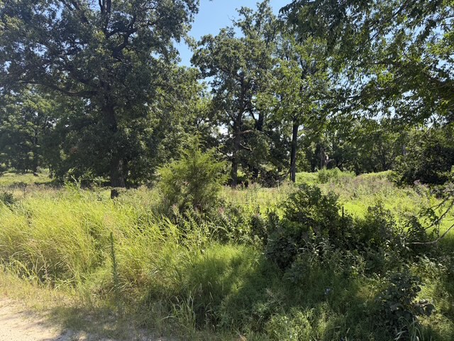 Rural - Land