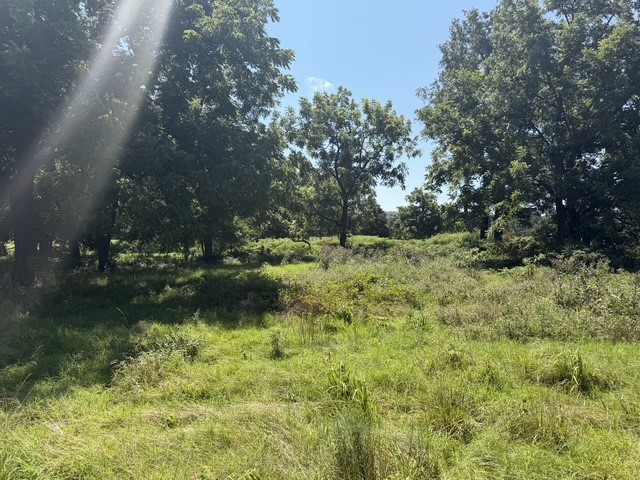Rural - Land