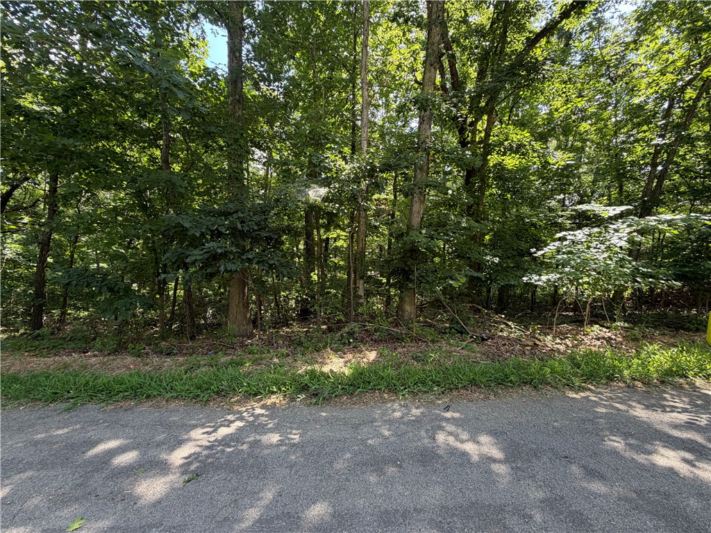 Outdoor lovers, take note! Tucked away on a peaceful dead-end street with zero through-traffic, this Bella Vista lot offers the perfect canvas for your custom home. Location is everything here: you are just a quick 2-to-3-minute drive from the stunning Tanyard Creek and world-class bike trail access points, including the highly anticipated new mountain bike park. Golf enthusiasts will love having the area's closest pristine course under 5 minutes away. When it's time to commute, you can jump onto Hwy 49 in under 5 minutes, giving you a seamless, direct 15-to-20-minute drive to the Walmart Home Office. Pure convenience meets Northwest Arkansas adventure!