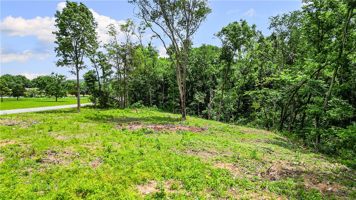 POSY MOUNTAIN RANCH UNIT 4-RURBAN - Land
