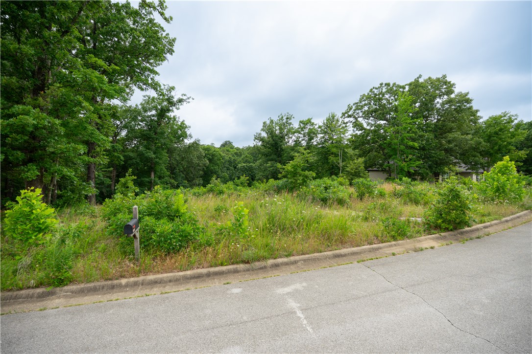 Twin Spgs Estates Ph II - Land