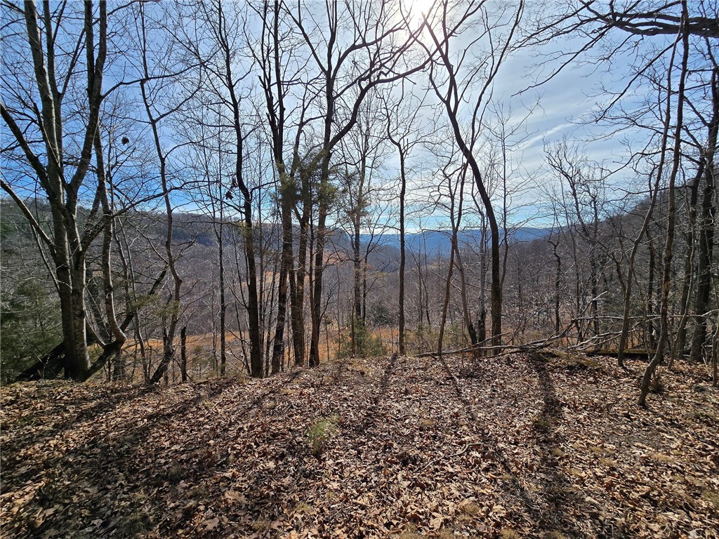 Prime Location, 5-acre property with breathtaking views, overlooking Horseshoe Canyon Ranch! Utilities are available at the road, making this an ideal spot to build. Peaceful setting with incredible natural surroundings.