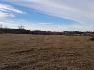 33 acres in Dover school district. Build on the private knoll in the back corner or up front by the road and have great views of the mountains. Some pasture, some woods, pond.