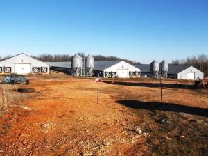 3 Turkey houses each (500 x 41) (20,500 sq ft each) 150 acres-40.73 pasture 109.27 woods-1448 aq ft home w/unfinished basement, large metal bldg., several ponds, property could possibly be split up.  Home 20 ac, home with turkey barns, shop & 60.78 ac, turkey barns & shop 40.78 ac, tract 1 (80 ac) plus tract 3 (8ac m/l)