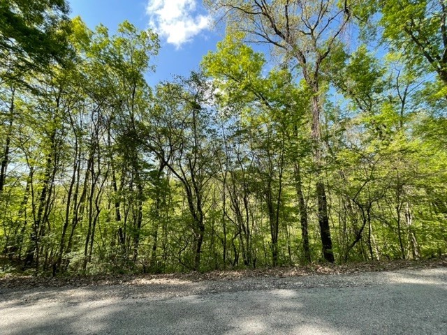 Very nice 1.95 acre lot in a pie shape.  188 feet of road frontage with lots of opportunities for driveway entrances.  Several good building spots amongst the trees with a nice valley view.  Down-sloped lot would make a great spot to build a walk-out basement.  All amenities are within a 5-10 minute drive that include 2 golf courses, marina, fishing dock, rec center, swimming pool, tennis courts, shopping, banking, restaurants and more.  Owner Financing may be available.  Contact for details.