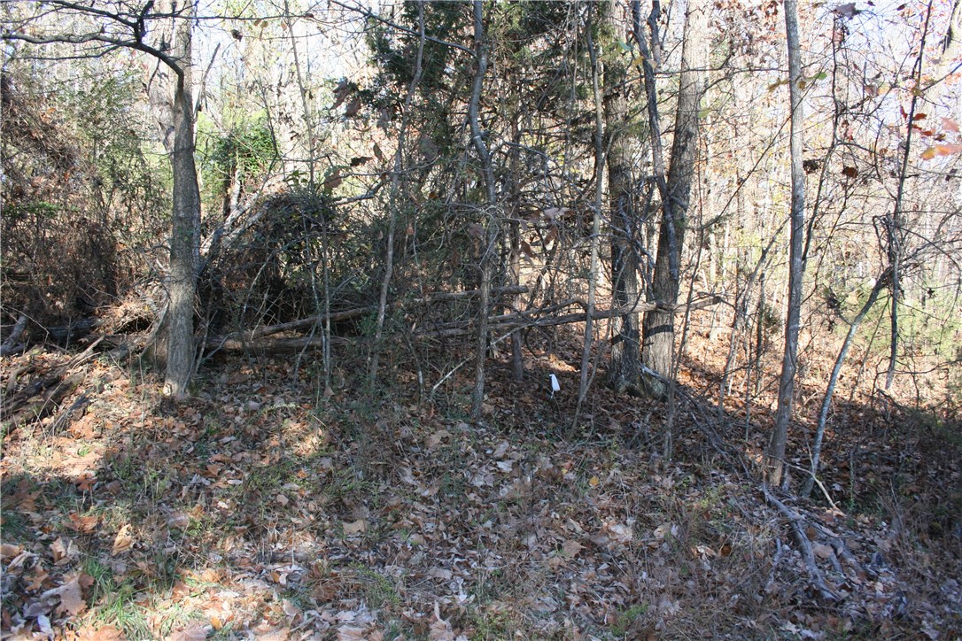 Wooded lot. Close to Hickory Creek Park/Marina.