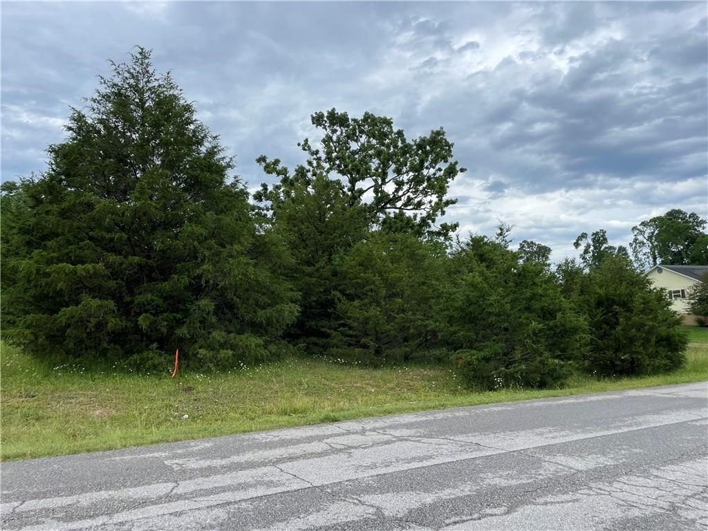 Rare Flat Lot Near the Lake – Perfect for Your Dream Home or Weekend Escape
Don't miss this exceptional opportunity to own one of the few remaining flat lots near the lake, nestled in a peaceful, well-established neighborhood. Whether you're planning a full-time residence or a relaxing weekend retreat.

Located right next to the community center, you’ll have easy access to outstanding amenities—tennis and pickleball courts, swimming pools, and a professionally designed 9-hole golf course are all just steps away. A short drive brings you to the full-service marina, swim beach, and fishing pier, making lakeside living effortless and enjoyable.

Golf enthusiasts will also love being just minutes from an 18-hole championship course, or the 9-hole course offering even more options for recreation.

With city water, sewer, and electricity available at the street, you’ll save thousands in utility hookup costs. This is your chance to enjoy everything Holiday Island has to offer—come see why this location stands out!