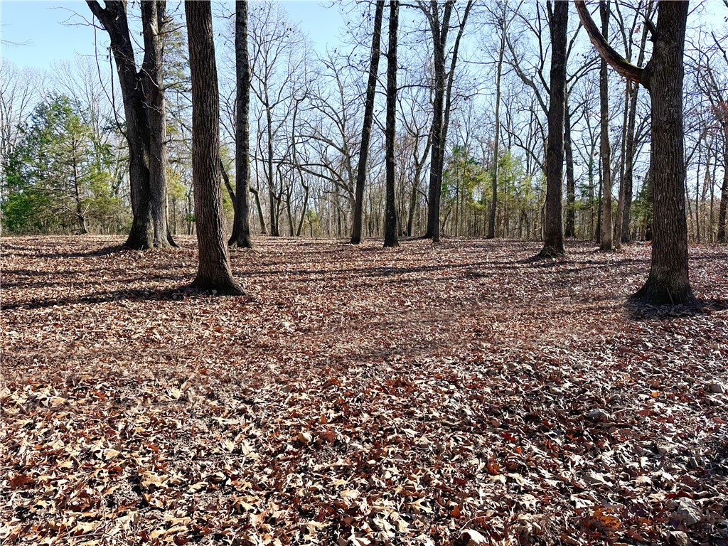 Ashmore Creek - Land