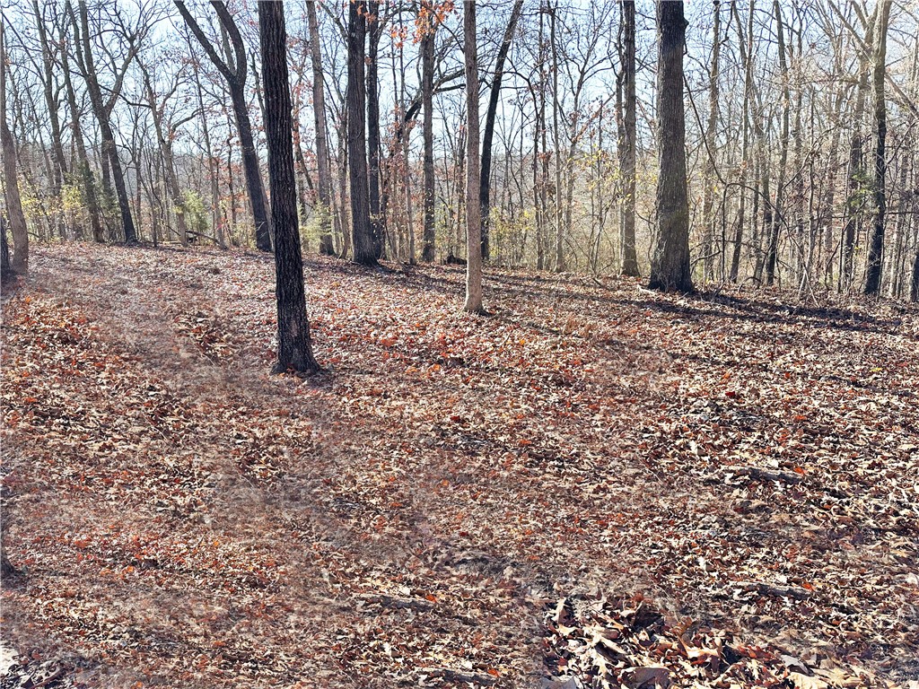 Ashmore Creek - Land