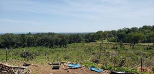 Hillcrest Estates Phase 1 - Land