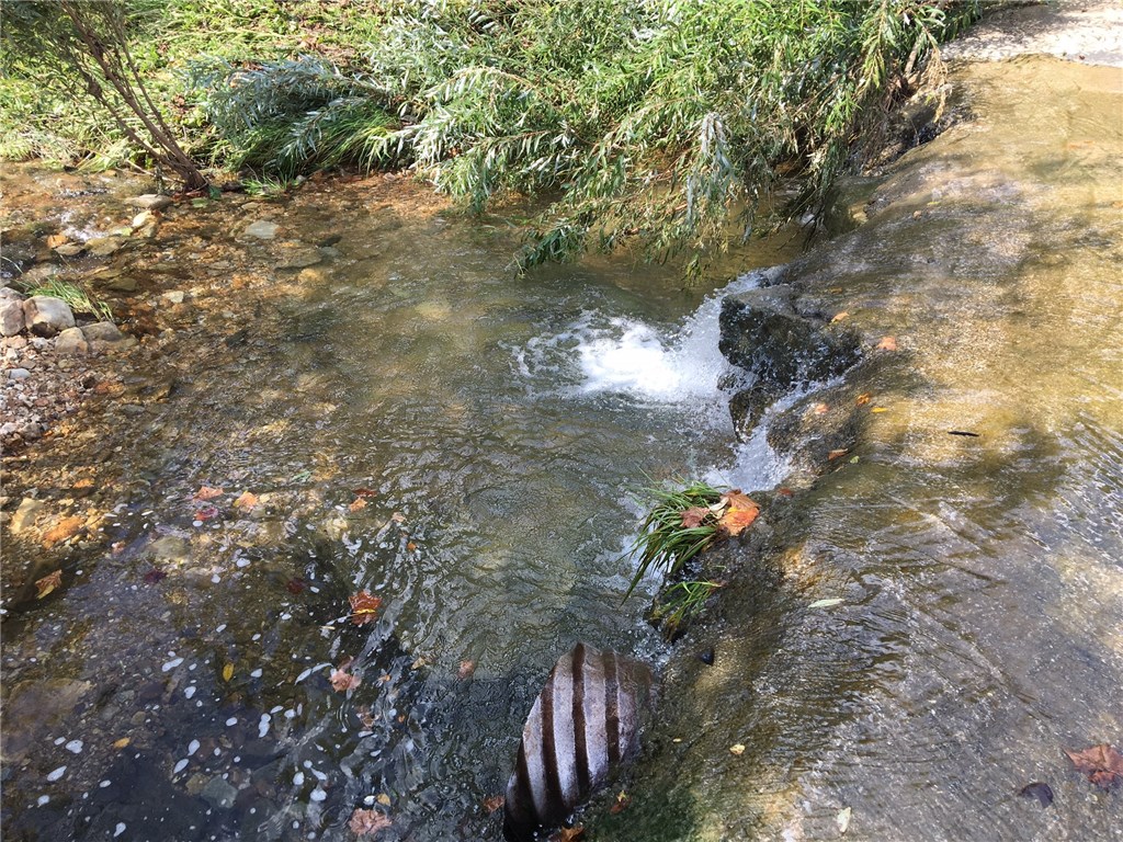 no - Land