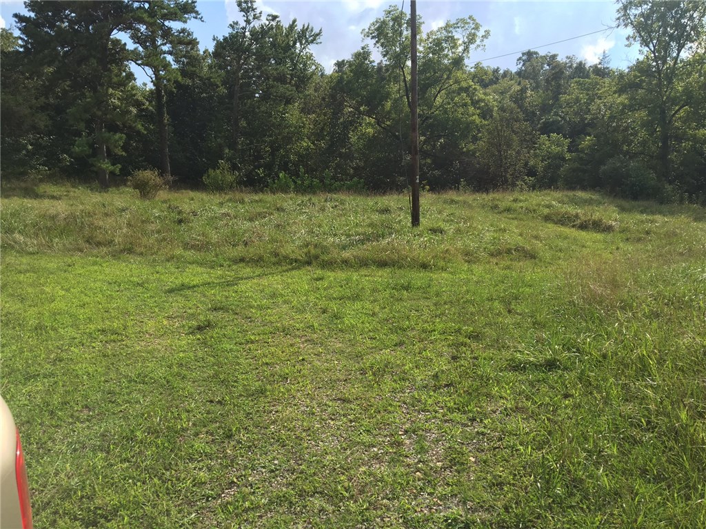 Private 20 acres with water, electric and septic. Outbuildings, year around creek, grass, timber and lots of wildlife. Excellent place to build a home or move in a mobile. Did I mention Wildlife. Priced to sell.