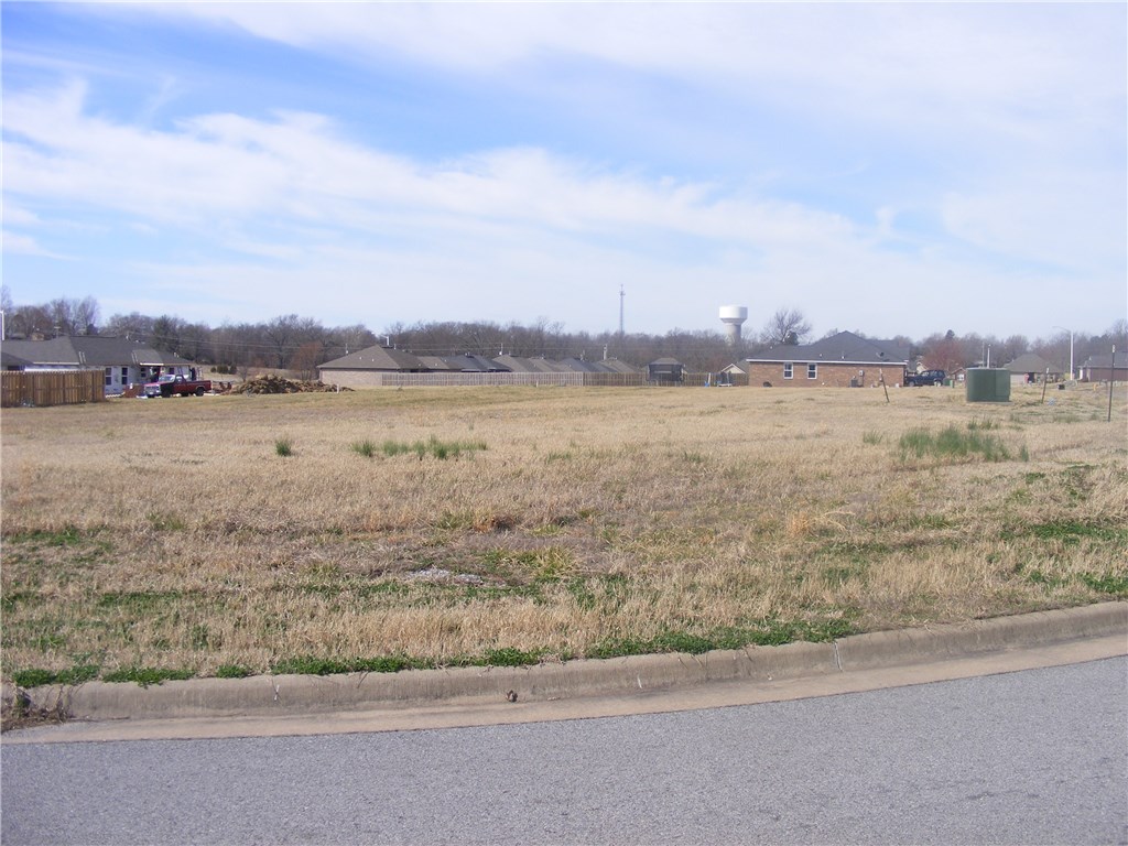 LOTS           96 & 97   To be sold as one.  corner lot plus one .