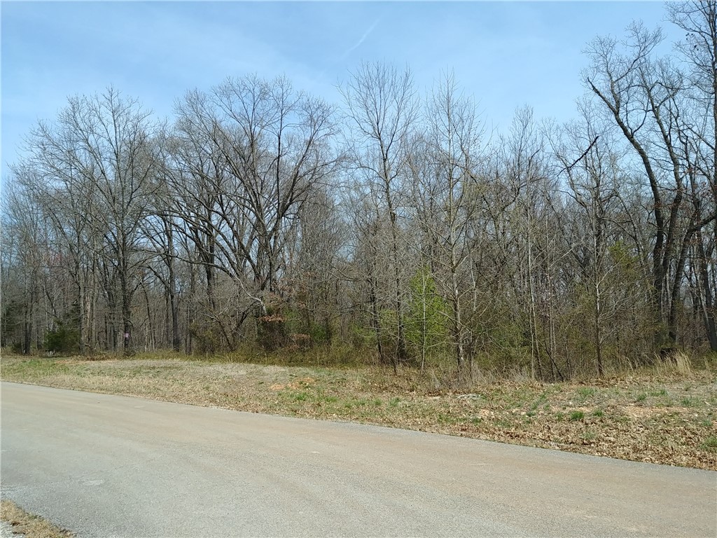 Timber Ridge Estates - Land