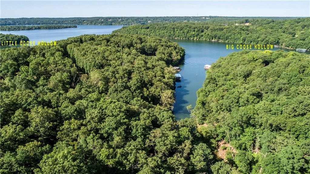 GORGEOUS LAKE FRONT LOT ENJOYING YEAR ROUND VIEWS OF BEAVER LAKE!  This beautiful 5.20 acre wooded lot is tucked away in a quiet and well-maintained subdivision with paved roads and is surrounded by nice homes.  Located just across the lake from Prairie Creek Marina in Little Coose Hollow giving you ease of access to gas, supplies and restaurant.  Lots of marinas in any direction you go!  Property also features a swim platform that can also be used as an uncovered dock!  If you're looking for space and privacy on Beaver Lake while still being close to town, this property is for you!