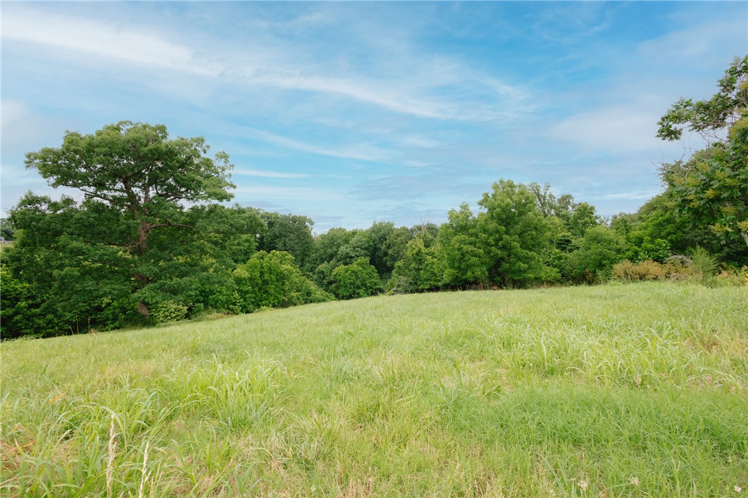 1.16 Acre Lot in The Meadows Subdivision in Little Flock. This corner lot is the perfect setting for your home build. With utilities at street, in an established subdivision of 1+ Acre lots, this is an ideal setting. Enjoy an amazing location in quiet community with easy access to Walmart Campus, Downtown Bentonville, Pea Ridge, and I-49. Located at the back of the neighborhood and with treelined borders, this lot offers serene privacy and a gorgeous setting. Don’t miss out on this opportunity to build your custom home in an ideal NWA location.