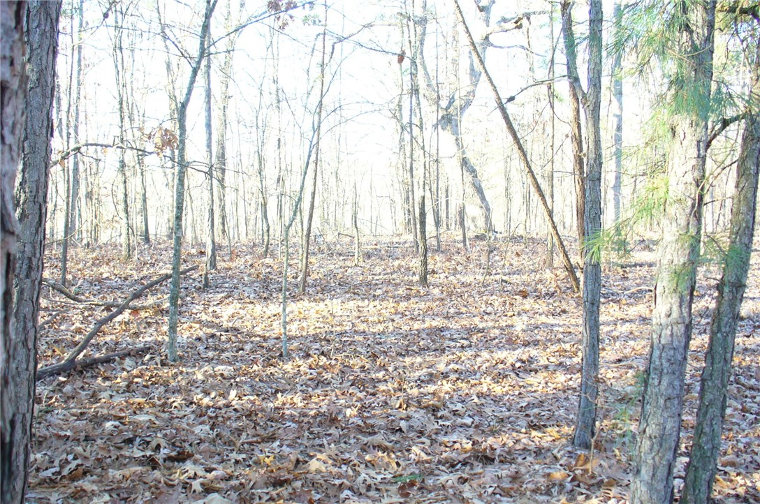Great tract of land in  a fantastic location!  Close to town and Beaver Lake.  The land is  really flat for building.  Gentle sloping sides and plenty of building sites.   Great views at the end of the point would make a super building site.  Partial driveway cut in.