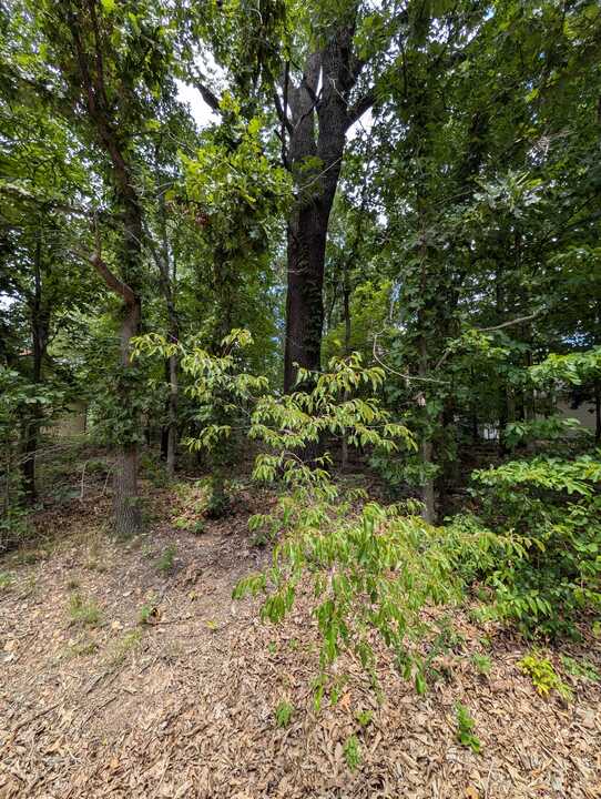 Buildable homesite near Loch Lomond in Bella Vista - excellent access to recreation. Kirkcolm homesites available on both sides of the road - several are quite flat, and one side has more slope and woods views. Incredible homes being built in this neighborhood which is quiet, neat and walkable. Proximity to Branchwood nature trail and rec center, Highlands Golf & Pub, the excellent Lakepoint Restaurant and Scotsdale Golf Course. Please drive the lot and reference official county records as street/house addresses are not always consistent and it is important to understand the precise lot location. Individual lot priced at $45,000 or a package of 9 total buildable Bella Vista lots are available - bundle sale is preferable.

Lot requires an onsite septic system; buyer to verify septic feasibility, permitting, and occupancy limit prior to purchase.
