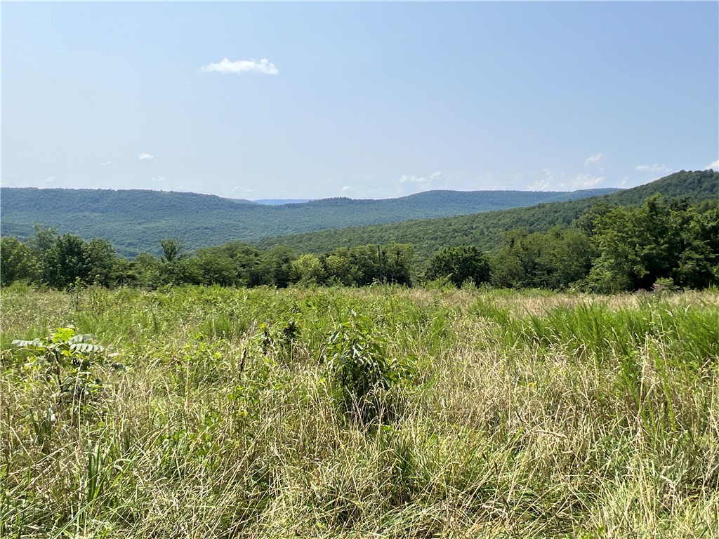 Discover the perfect blend of natural beauty and modern convenience on this stunning 28-acre property. Nestled in a serene location with breathtaking views, this land offers both pasture and woods, making it an ideal spot for hunting enthusiasts. With electric and fiber internet already available on the property, you can enjoy the tranquility of nature without sacrificing connectivity. Accessible via Browntown Rd. or Lickfork Rd., this versatile parcel is perfect for your dream home or a recreational retreat. Don’t miss this opportunity to own a piece of paradise!