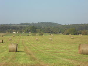 Hard to find them like this- 35.5 acres of pasture all fenced, highway frontage, great building site with views, rural water and electric at the highway.  Just short distance off Hwy 65 in Valley Springs.