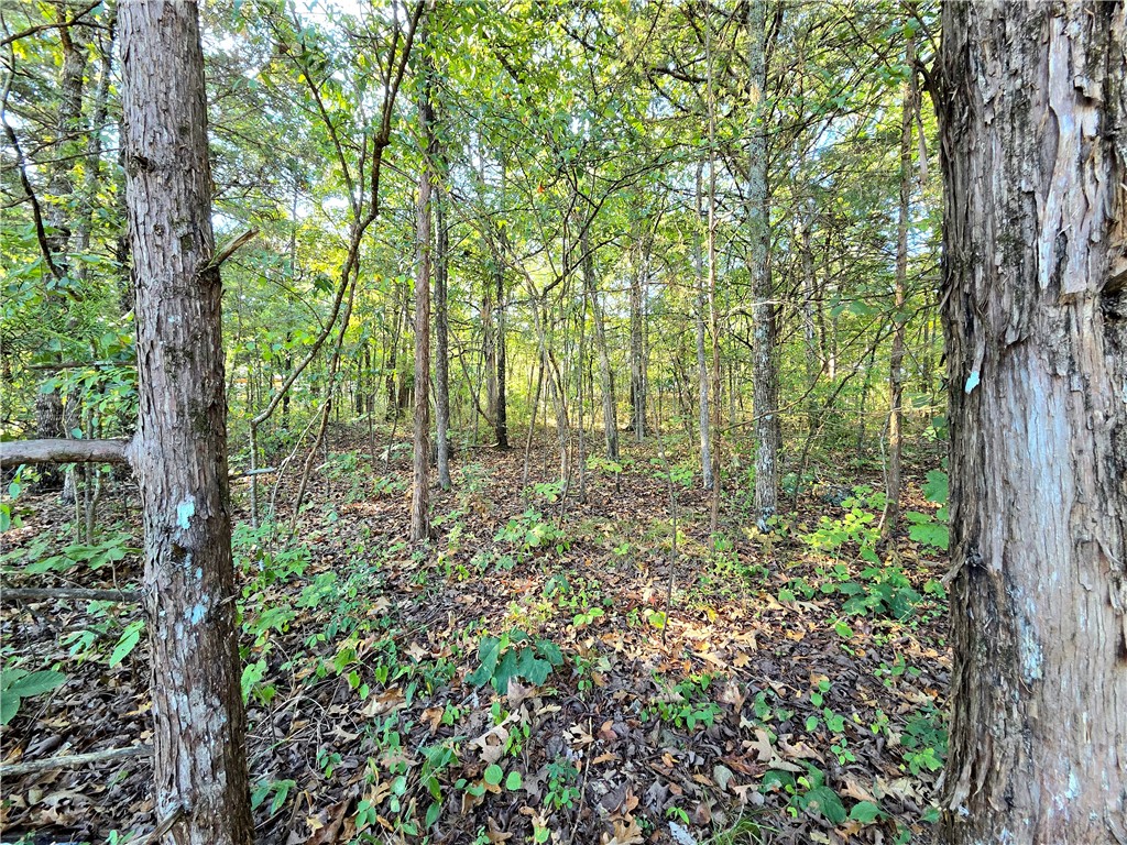 White Oak - Land
