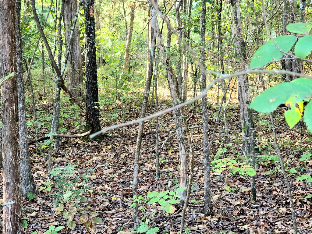 White Oak - Land