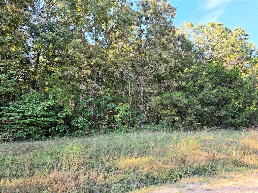 White Oak - Land