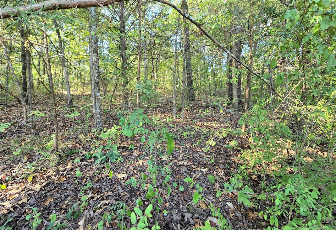 White Oak - Land