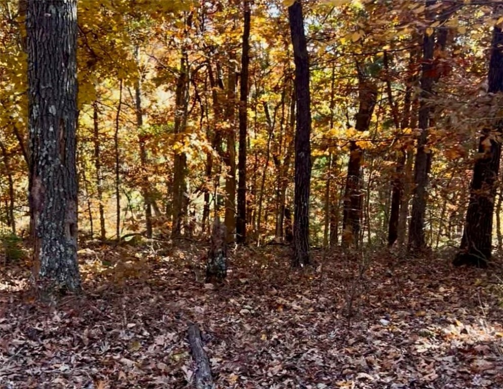New Listing in Bella Vista! This beautiful .3-acre rolling wooded lot offers an ideal location nestled between the scenic Lake Ann and Lake Brittany. Enjoy direct access to outdoor adventure with the Summit School Bike Trail running right behind the property, just a one-minute walk away. Perfect for nature lovers and outdoor enthusiasts!