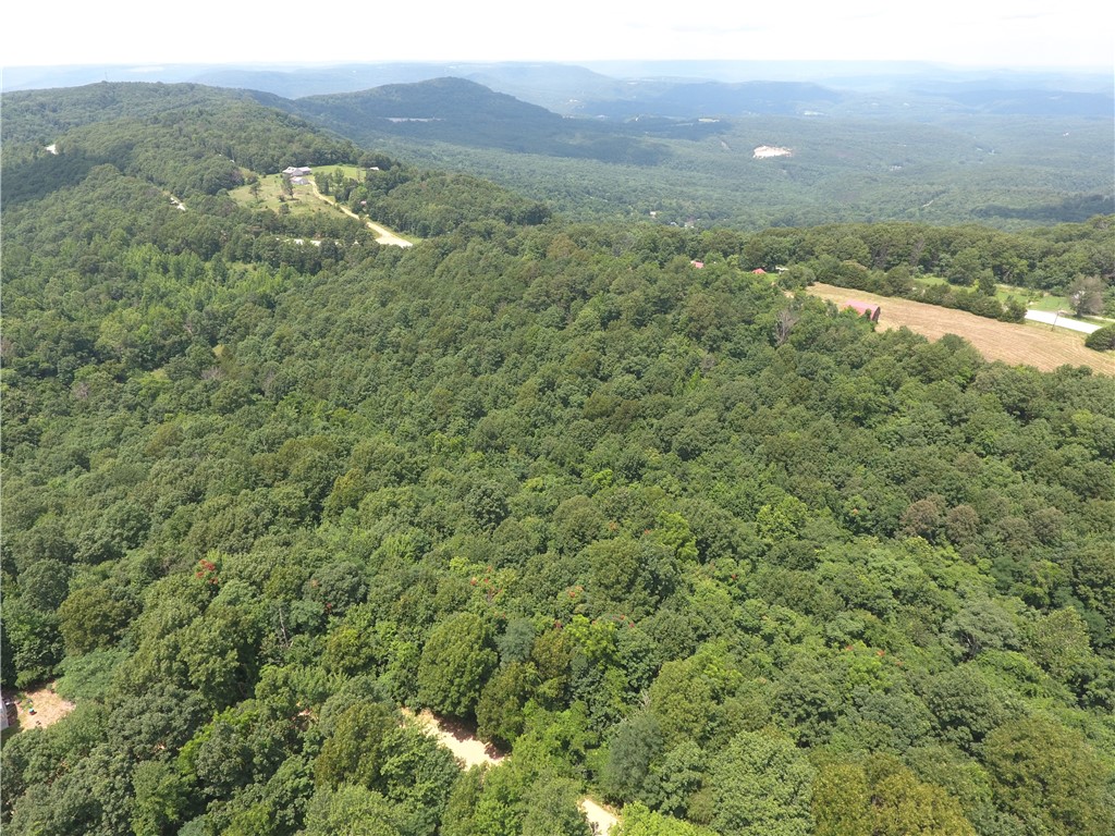 East Tract: Discover the opportunity to own 15± acres in the heart of the Ozarks. With multiple potential building sites, excellent mountain views, and plenty of room to explore, this property is perfect for your dream home, weekend cabin, or recreational retreat. Enjoy privacy while remaining close to some of Arkansas's best outdoor destinations. Located just 0.5 mile from Scenic Point Overlook, 4 miles from Jasper, and only minutes from the Buffalo National River and Ozark National Forest, you'll have easy access to floating, hiking, fishing, hunting, and endless outdoor recreation. The property is also approximately 14 miles from the former Dogpatch USA site, where Johnny Morris has announced plans for future redevelopment. Don't miss this opportunity to own land in one of Arkansas's most sought-after locations.