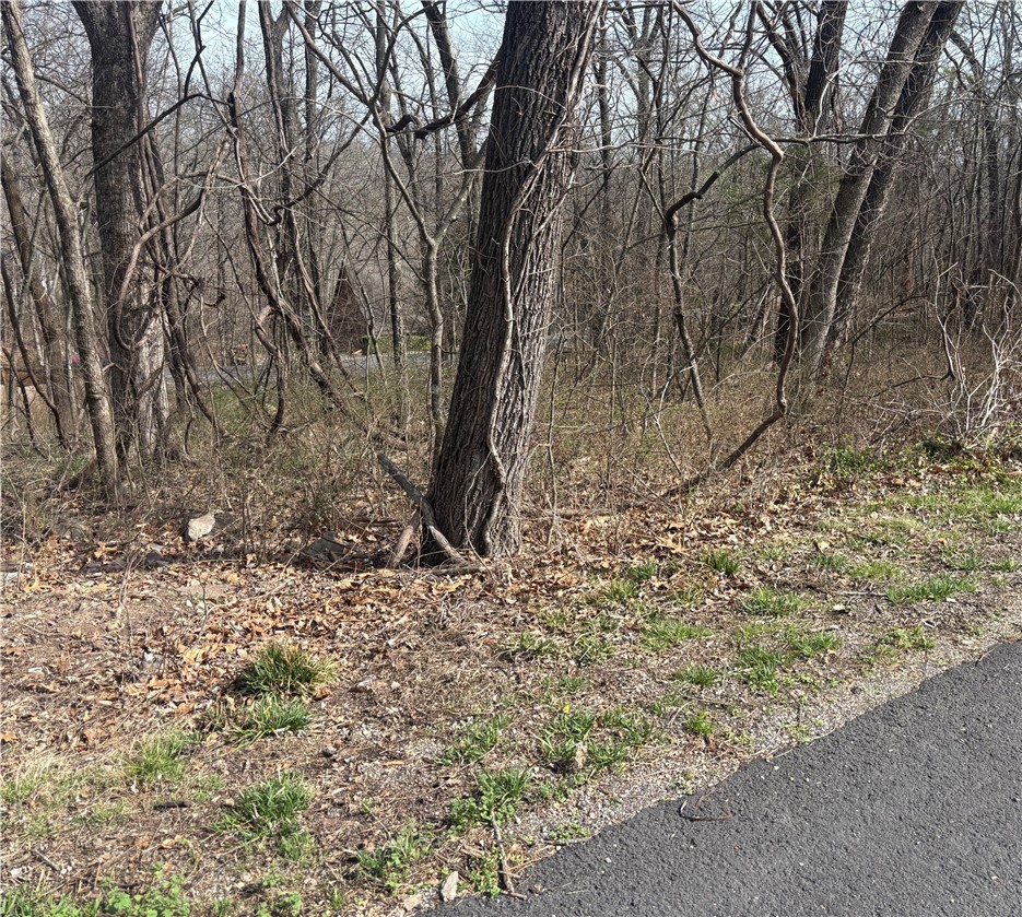 Build your dream home in the heart of Bella Vista! This beautiful 0.25-acre lot near Lake Ann offers the perfect setting for your future home, surrounded by natural beauty and peaceful surroundings. Enjoy the privacy and tranquility of this desirable location while still having easy access to all the amenities Bella Vista has to offer, including golf courses, trails, and lakes. A wonderful opportunity to create your own retreat in Northwest Arkansas!
