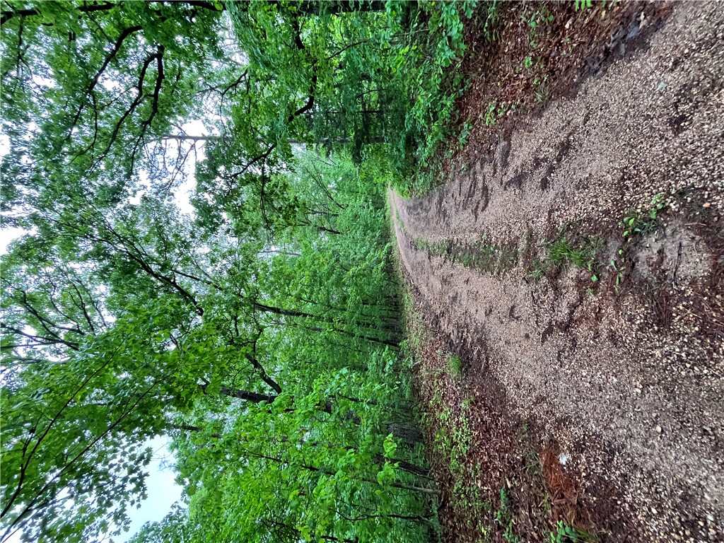 Beautiful 0.26-acre lot located in a quiet and desirable area of Bella Vista, offering the perfect blend of privacy and convenience. Water is available at the street, making this a great opportunity for a future build or investment. Surrounded by natural beauty and peaceful wooded scenery, this property provides a serene setting while still being just minutes from nearby amenities, trails, and everyday essentials. Bella Vista is known for its strong demand and growing market, with continued development and limited buildable lots adding to long-term value . Whether you're looking to build now or hold for the future, this lot offers excellent potential in a highly sought-after Northwest Arkansas location.