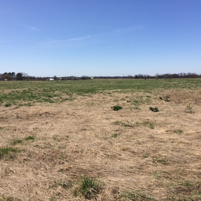 Excellent property with a lot of road frontage in good location.Fenced and one Pond.