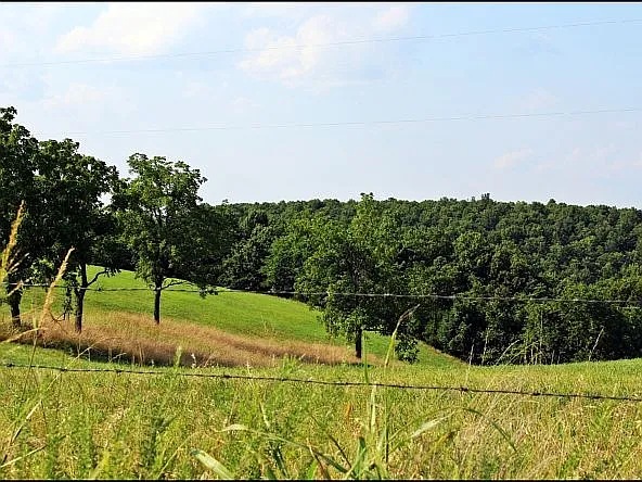 Off-Grid Living at Its Best! Enjoy complete independence with no monthly utility bills, no property restrictions, and the peace and privacy of the Ozark Mountains. This nearly new 14' x 44' Derksen cabin features extra-high ceilings, two lofts, solar power, a water catchment system with 750-gallon storage, full kitchen, full bath, propane cooktop, Ashley wood stove, dual Hunter ceiling fans, and comes fully furnished with the personal property needed for off-grid living. A 10' x 20' insulated and wired Derksen building offers heat, flooring, and two lofts for additional living space, a guest retreat, hobby space, or storage. Property also includes a 14 KW Generac propane generator, two 1,000-gallon propane tanks, new Rheem propane water heater, 10' x 40' greenhouse, raised garden beds, chicken coop with chickens, firewood, seasonal creek, pergola with water collection roof, and double-gated access. Move in and start living independently!