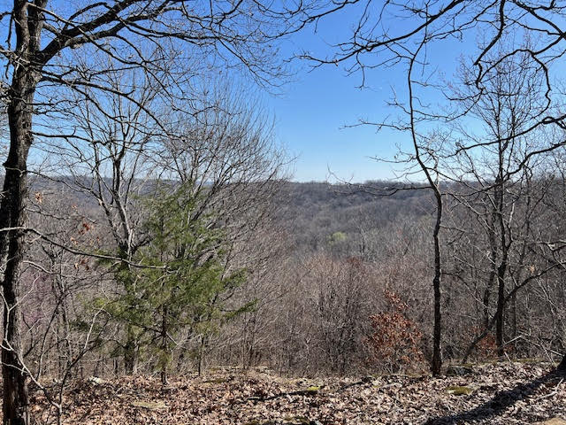 Discover 34 acres of wooded, secluded land offering endless possibilities. This rural property is rich in natural beauty, featuring mature timber, privacy, and abundant wildlife.
Ideal for a custom home, recreational retreat, or investment opportunity, the acreage provides plenty of space to build, explore, and enjoy the outdoors. If you’ve been searching for a peaceful setting away from the noise, this property delivers the privacy and potential you’ve been looking for.