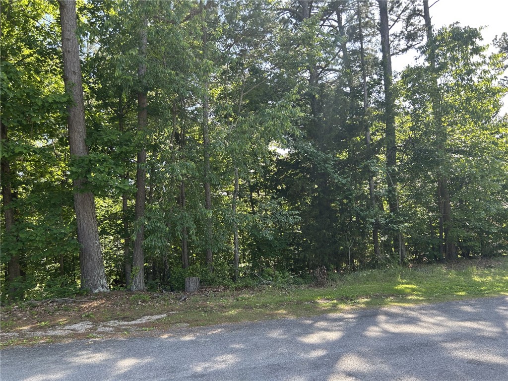 Beautiful generous (.35 acres) lot in the very desirable Bentonville School District.  Convenient to Lake    Norwood, Back 40 Trail, as well as Town Center and the retail center in Jane, Missouri.