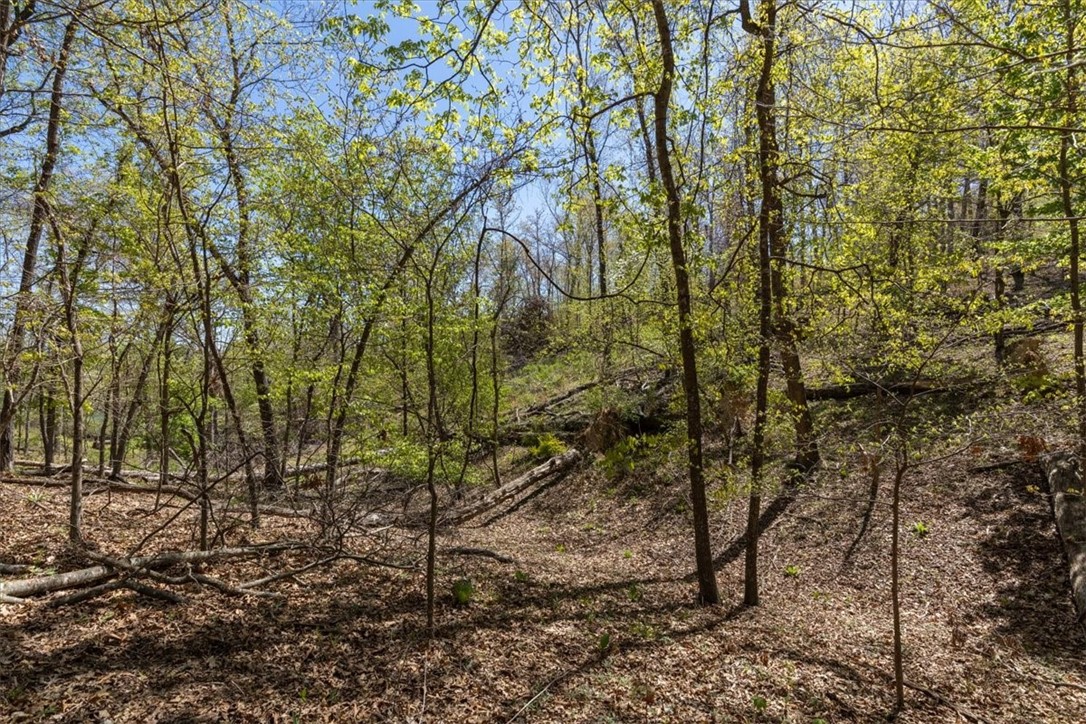 Oak Bluff Summit Rurban - Land