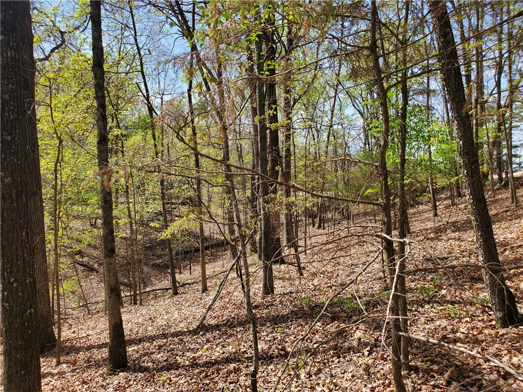Oak Bluff Summit Rurban - Land