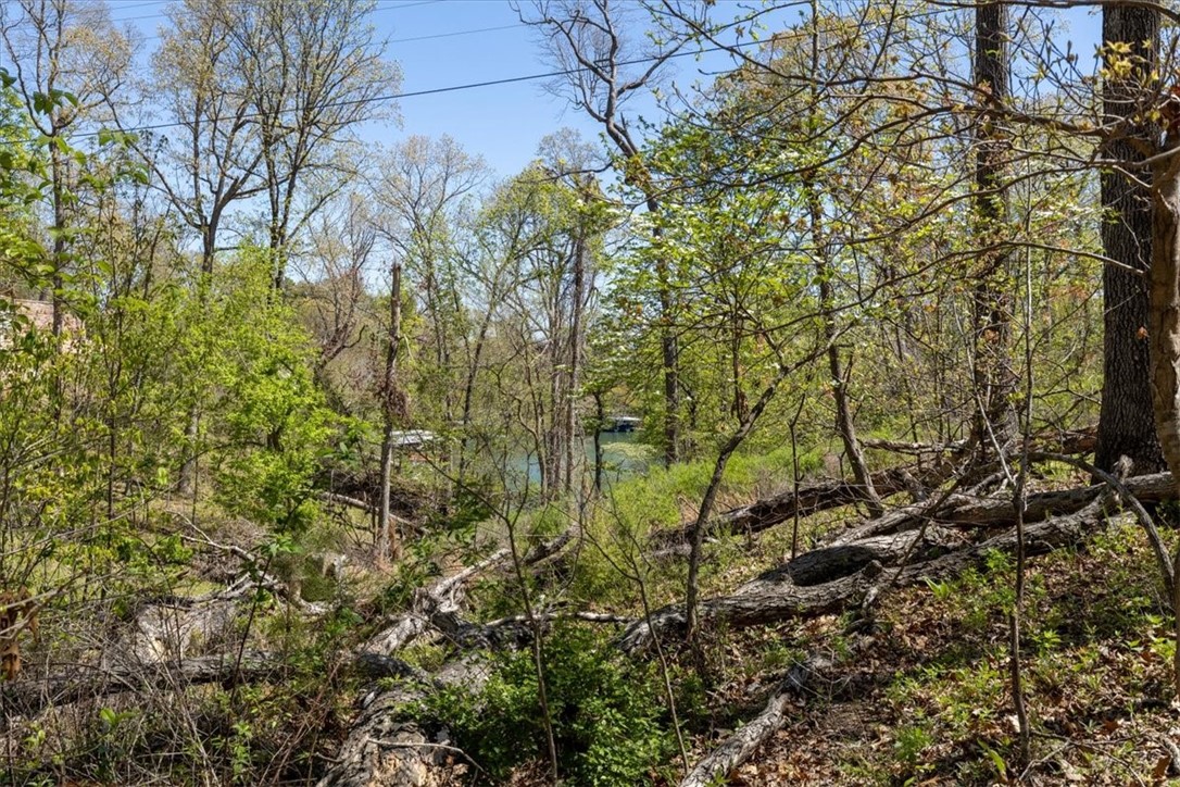 Oak Bluff Summit Rurban - Land