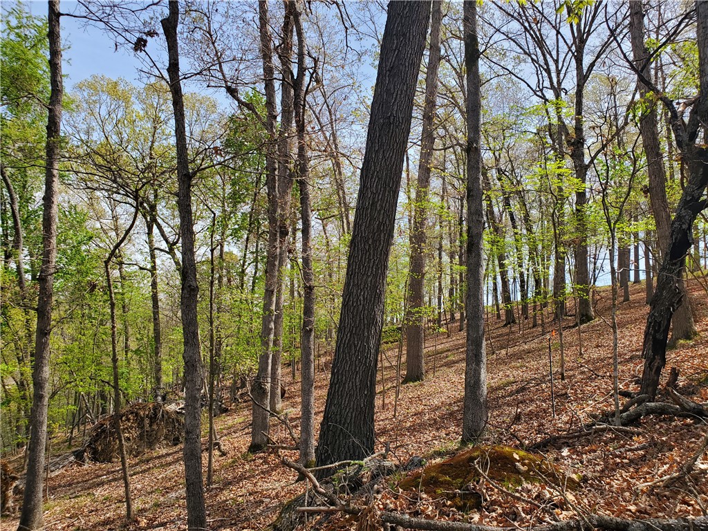 Oak Bluff Summit Rurban - Land