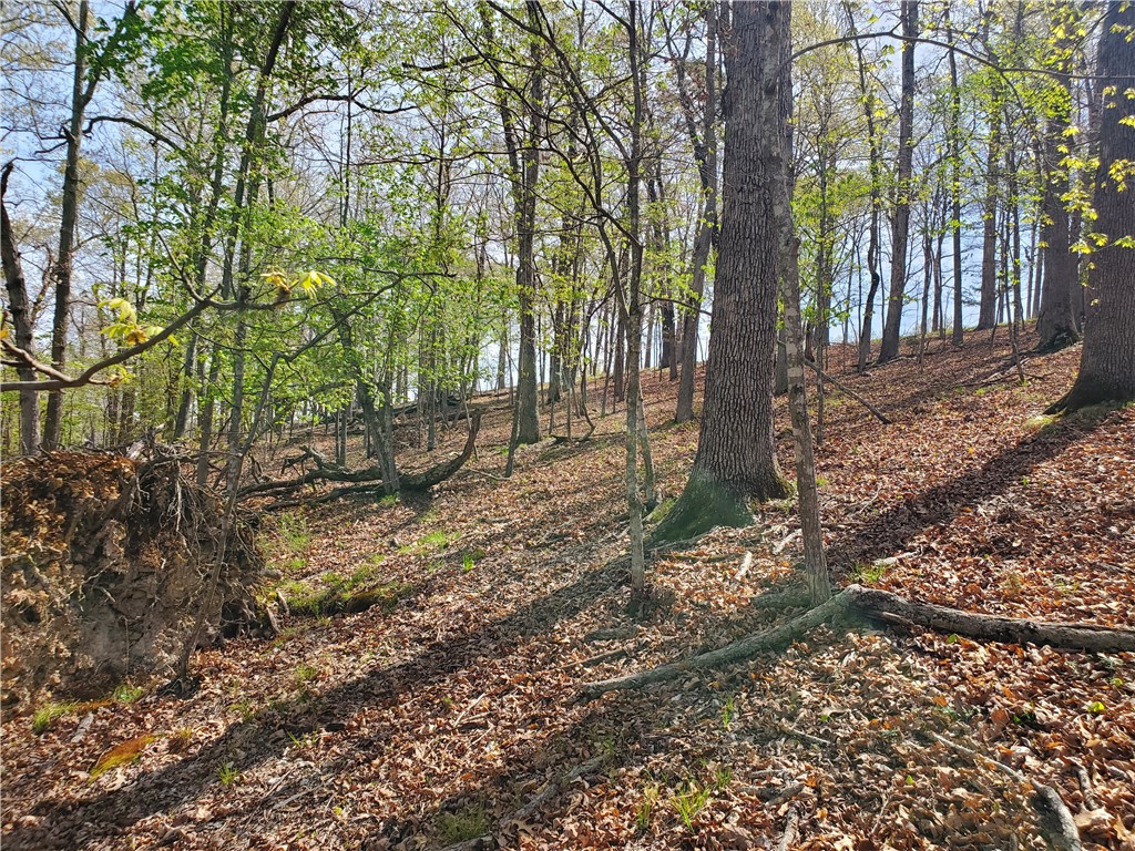 Oak Bluff Summit Rurban - Land