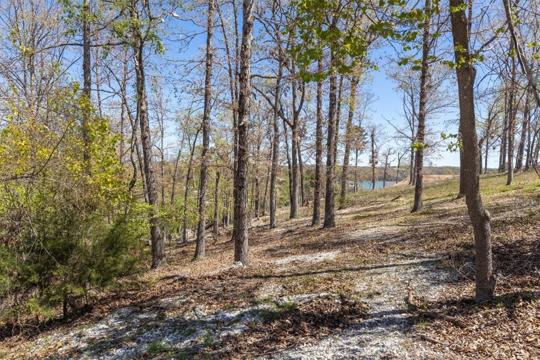 Oak Bluff Summit Rurban - Land