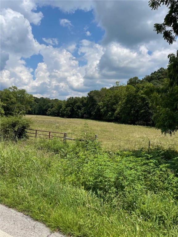 Beautiful acreage just north of Pea Ridge on Hayden Rd! Property is three parcels totaling 45.09 +/- acres of mostly flat pasture! Country feel with a short 20 minute drive to either downtown Rogers or Bentonville on all paved roads. Great spot for cattle or livestock with nice spring originating on property & Otter Creek running through property.  Currently has cows on property.  Majority of the property does lay in 100 year floodplain - bring some dirt in & build your dream home. Property taxes reflect what seller is currently paying with the 65+ tax freeze. Taxes are subject to change after sale.